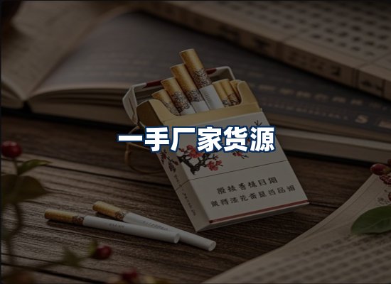 专业团队办公环境
